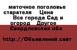 маточное поголовье старателя  › Цена ­ 3 700 - Все города Сад и огород » Другое   . Свердловская обл.